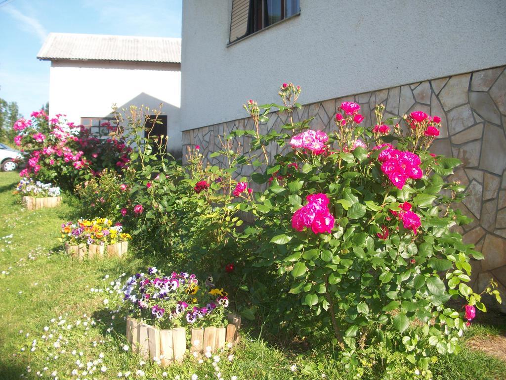 House Veljko Villa Vrhovine Eksteriør billede